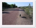 P5060001 * Mesa dog walking * 2288 x 1712 * (2.28MB)