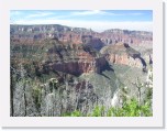 P5310041 * Grand Canyon North Rim * 2288 x 1712 * (2.19MB)